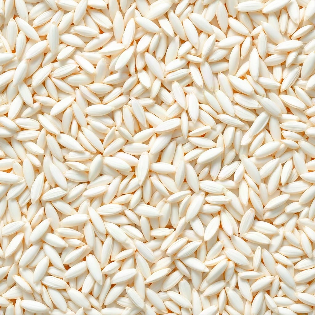 Rice Grains Texture