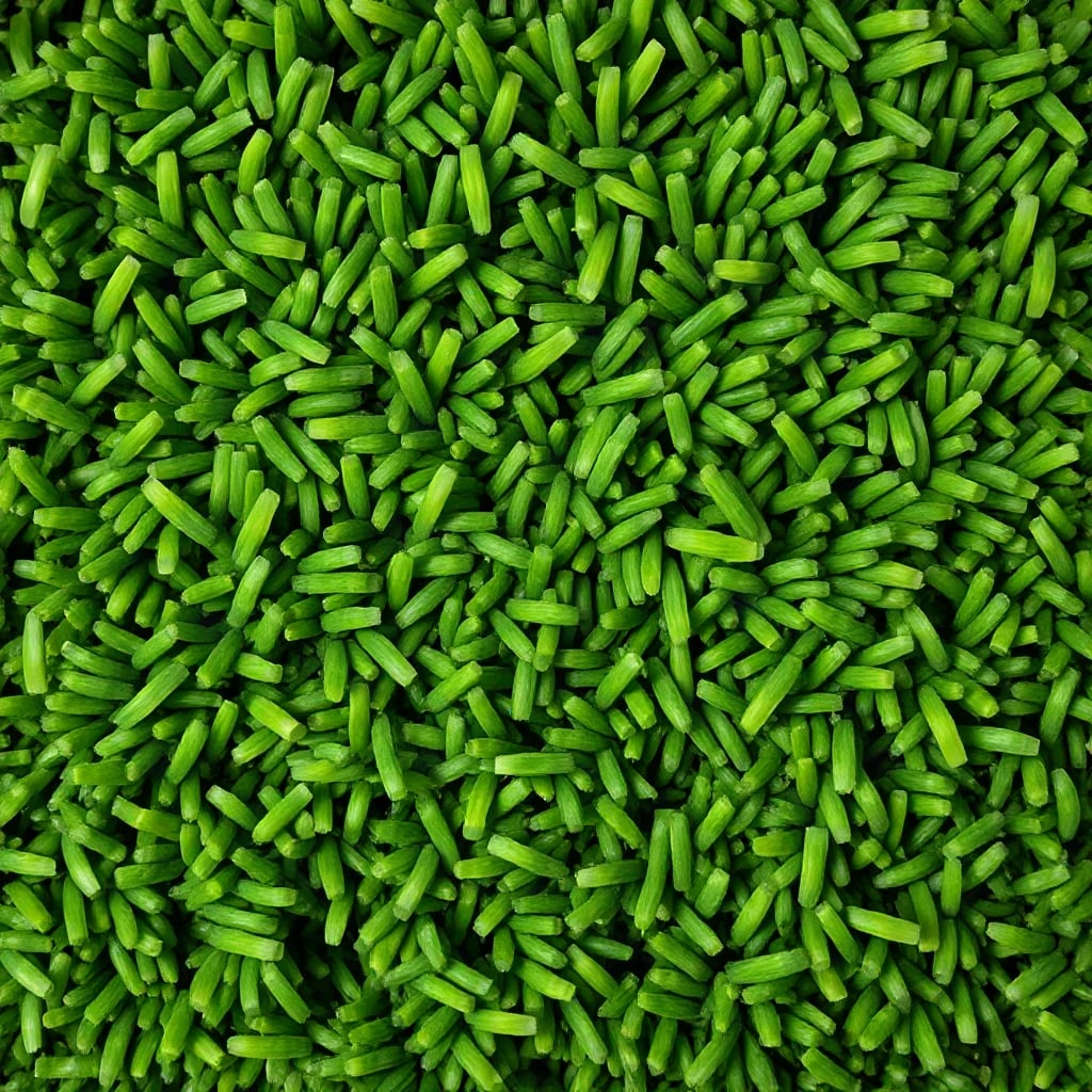 Moss Texture